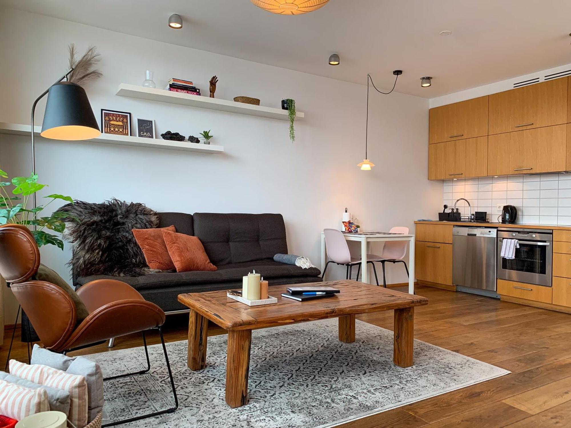 Laugavegur Penthouse Apartment Reykjavík Exterior photo
